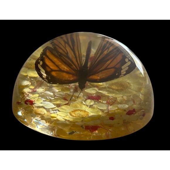 Real Preserved Monarch Butterfly Resin Flower Dome Paperweight 4” X 2” - Picture 2 of 7